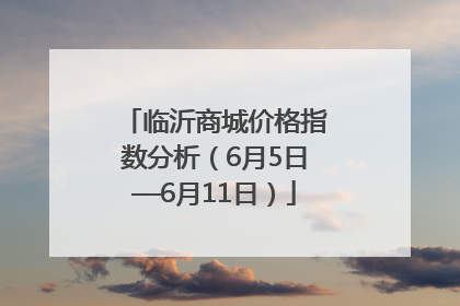 临沂商城价格指数分析（6月5日—6月11日）