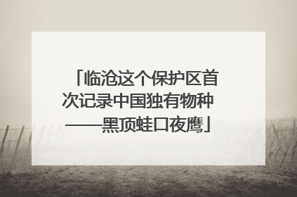 临沧这个保护区首次记录中国独有物种——黑顶蛙口夜鹰