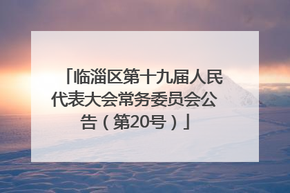 临淄区第十九届人民代表大会常务委员会公告（第20号）