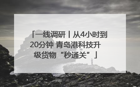 一线调研丨从4小时到20分钟 青岛港科技升级货物“秒通关”
