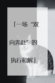 一场“双向奔赴”的执行和解