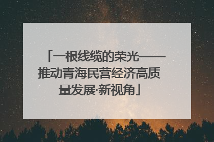 一根线缆的荣光——推动青海民营经济高质量发展·新视角