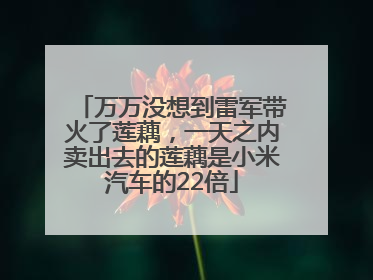 万万没想到雷军带火了莲藕，一天之内卖出去的莲藕是小米汽车的22倍