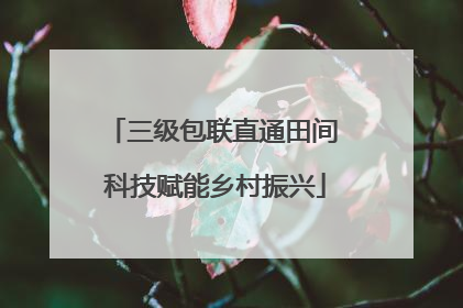 三级包联直通田间 科技赋能乡村振兴