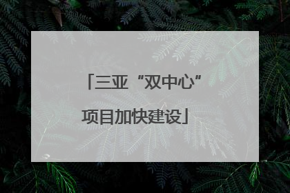 三亚“双中心”项目加快建设