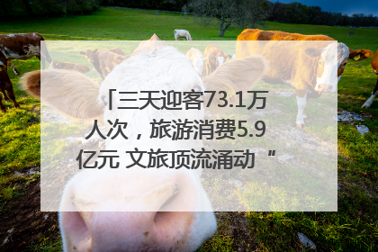 三天迎客73.1万人次，旅游消费5.9亿元 文旅顶流涌动“江宁style”
