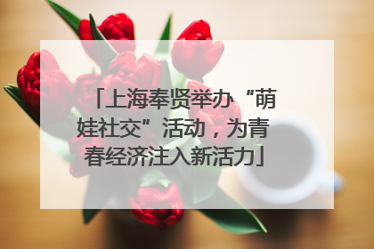 上海奉贤举办“萌娃社交”活动，为青春经济注入新活力