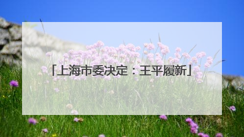 上海市委决定：王平履新