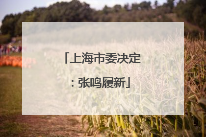 上海市委决定：张鸣履新