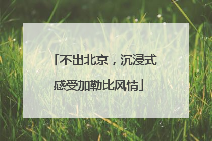 不出北京，沉浸式感受加勒比风情