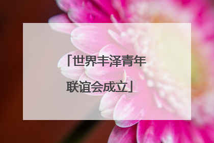 世界丰泽青年联谊会成立