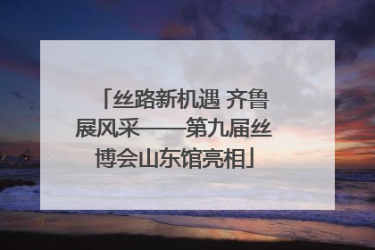 丝路新机遇 齐鲁展风采——第九届丝博会山东馆亮相