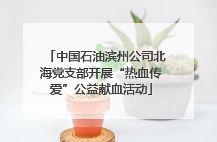 中国石油滨州公司北海党支部开展“热血传爱”公益献血活动