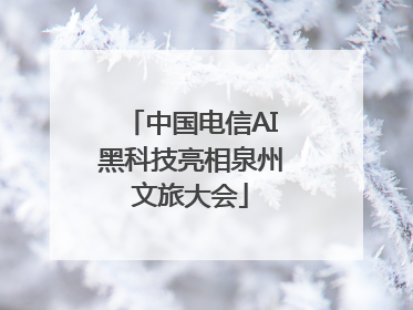 中国电信AI黑科技亮相泉州文旅大会
