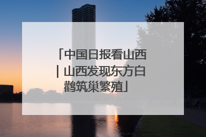 中国日报看山西｜山西发现东方白鹳筑巢繁殖