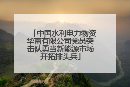 中国水利电力物资华南有限公司党员突击队勇当新能源市场开拓排头兵