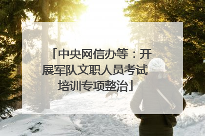 中央网信办等：开展军队文职人员考试培训专项整治