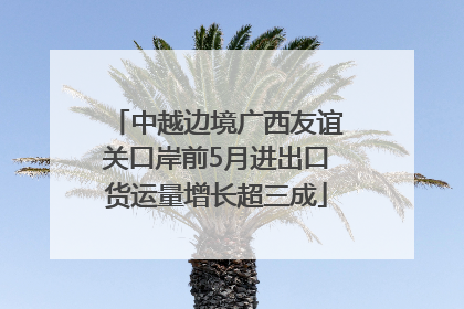 中越边境广西友谊关口岸前5月进出口货运量增长超三成