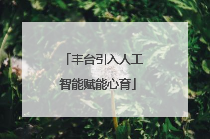 丰台引入人工智能赋能心育