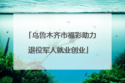 乌鲁木齐市福彩助力退役军人就业创业