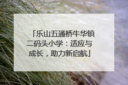 乐山五通桥牛华镇二码头小学：适应与成长，助力新启航