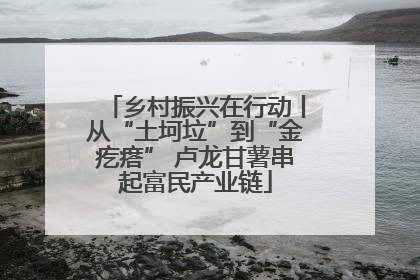 乡村振兴在行动丨从“土坷垃”到“金疙瘩” 卢龙甘薯串起富民产业链