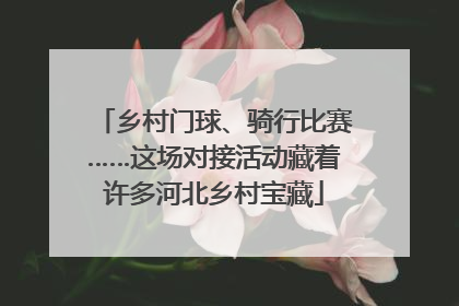 乡村门球、骑行比赛……这场对接活动藏着许多河北乡村宝藏