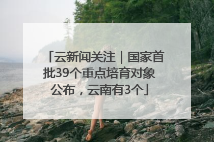 云新闻关注｜国家首批39个重点培育对象公布，云南有3个