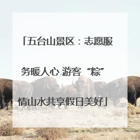五台山景区：志愿服务暖人心 游客“粽”情山水共享假日美好