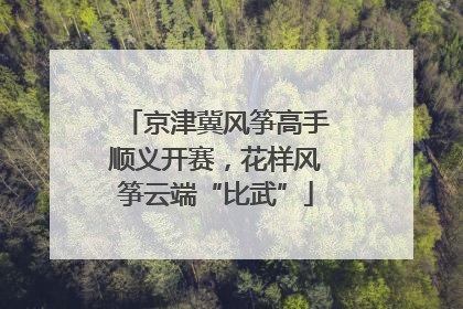 京津冀风筝高手顺义开赛，花样风筝云端“比武”