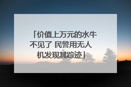 价值上万元的水牛不见了 民警用无人机发现其踪迹