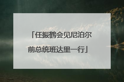 任振鹤会见尼泊尔前总统班达里一行