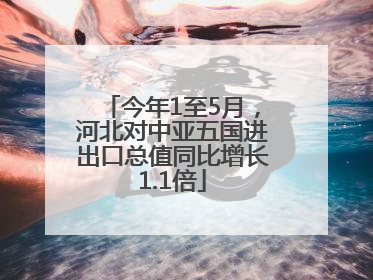 今年1至5月，河北对中亚五国进出口总值同比增长1.1倍