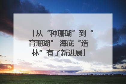 从“种珊瑚”到“育珊瑚” 海底“造林”有了新进展