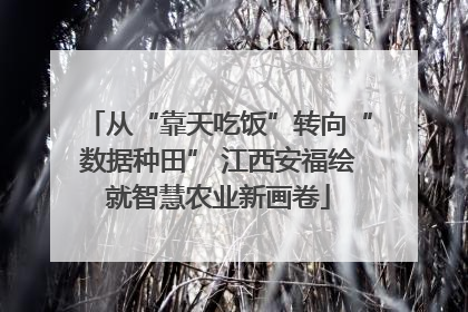 从“靠天吃饭”转向“数据种田” 江西安福绘就智慧农业新画卷