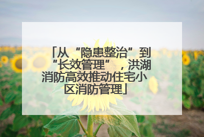从“隐患整治”到“长效管理”，洪湖消防高效推动住宅小区消防管理