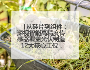从硅片到组件：深视智能高精度传感器覆盖光伏制造12大核心工位，SNEC 2025诚邀见证