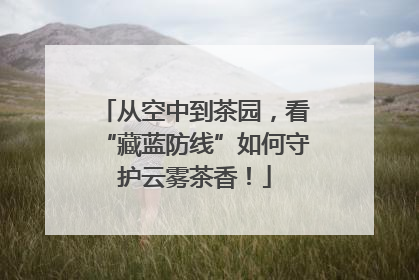 从空中到茶园，看“藏蓝防线”如何守护云雾茶香！