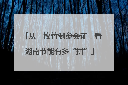 从一枚竹制参会证，看湖南节能有多“拼”
