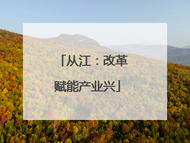 从江：改革赋能产业兴