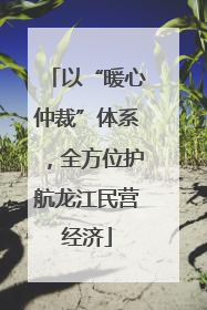 以“暖心仲裁”体系，全方位护航龙江民营经济