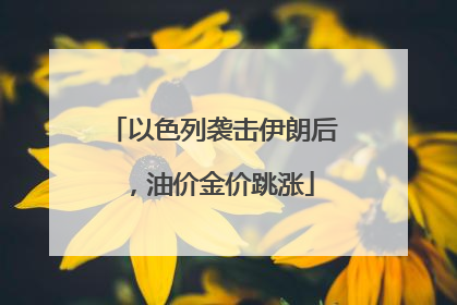 以色列袭击伊朗后，油价金价跳涨
