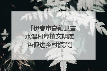 伊春市嘉荫县雪水温村厚植文明底色促进乡村振兴
