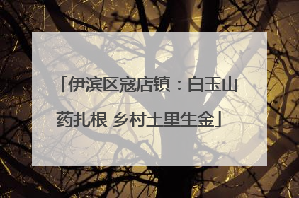 伊滨区寇店镇：白玉山药扎根 乡村土里生金