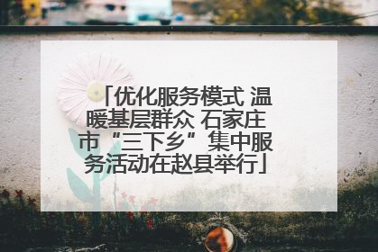优化服务模式 温暖基层群众 石家庄市“三下乡”集中服务活动在赵县举行