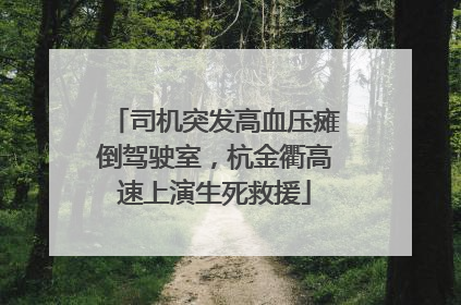 司机突发高血压瘫倒驾驶室，杭金衢高速上演生死救援