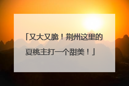 又大又脆！荆州这里的夏桃主打一个甜美！