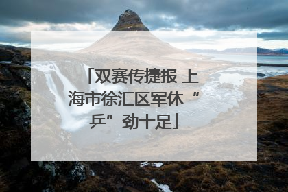 双赛传捷报 上海市徐汇区军休“乒”劲十足
