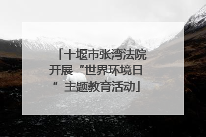 十堰市张湾法院开展“世界环境日”主题教育活动