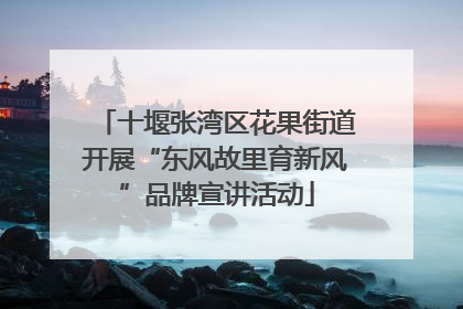 十堰张湾区花果街道开展“东风故里育新风”品牌宣讲活动